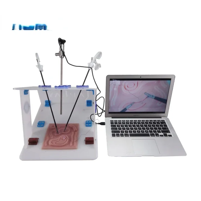 Woodworking Simulator - Endo Trainer laparoscopico con telecamera per