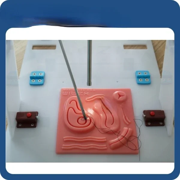 Endo Trainer laparoscopico con - Woodworking Simulator recensione e prezzo